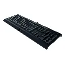 Razer Cynosa _ Lite _ Black (1).webp