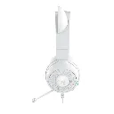 White4.webp